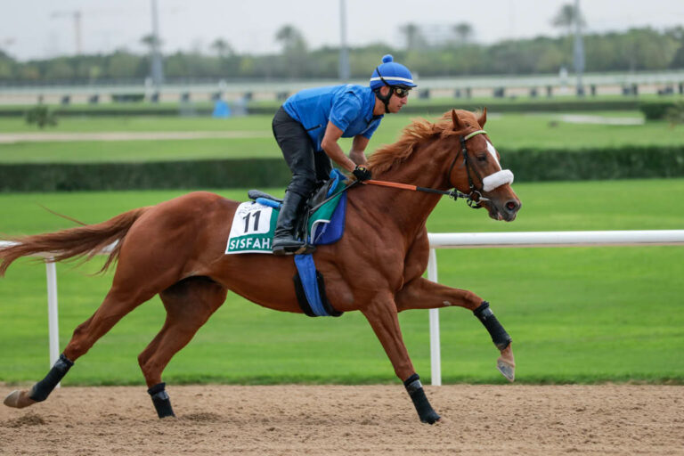 Sisfahan bei der Morgenarbeit in Meydan Foto: Dubai Racing Club