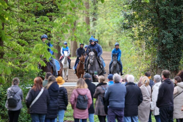 Auch 2024 gibt es wieder einen Tag der Rennställe