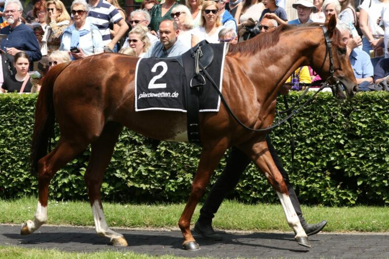 Am Sonntag nächste deutsche Siegesserie in Frankreich?