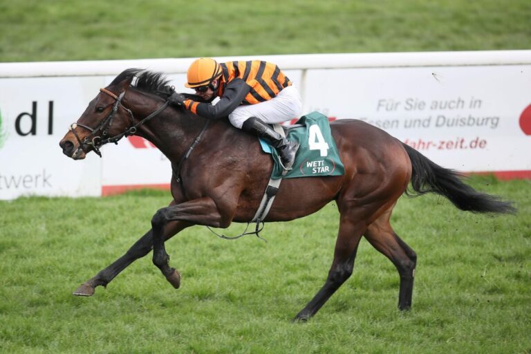 Zweiter Heimsieg: Timotheus überrascht gegen Best Lightning