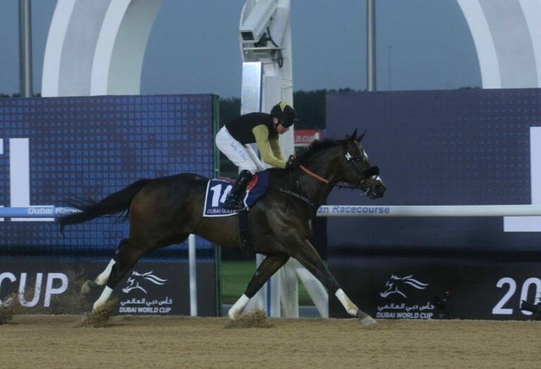 Außenseiter Tuz überragend im Golden Shaheen