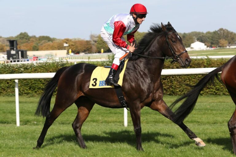 Dreijährigenrennen auf dem Grafenberg: Wieder drei Derbystarter dabei?