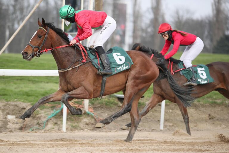 Erster Besitzertrainer-Treffer: Bellino siegt bei Boysen-Einlauf