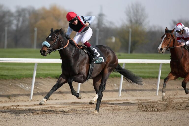 Derbykandidat Like Magic erfüllt Dortmunder Pflichtaufgabe