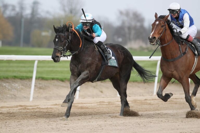 Kochendheißer Nepalo überzeugt mit Kämpfer- und Steherqualitäten