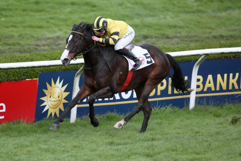 Sechsjähriger Debütant Nolito überzeugt bei Rennbahneinstand