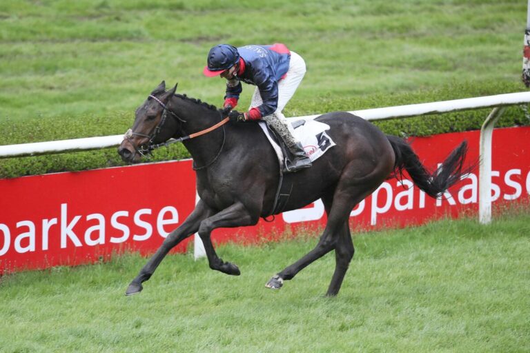 13 Nennungen: Auch Badener Meile noch eine Woche offen