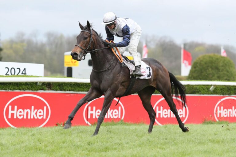 Düsseldorfer Debüt-Heimtreffer 2024: Shoko Lady macht erstmals auf süß