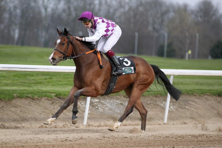 Tashbeeh zweiter Iffezheimer Sieger – Erster Saisonsieg für Batistic