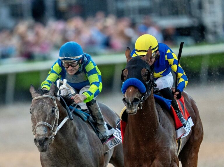 Senor Buscador and National Treasure (Foto: ©Racingfotos.com)