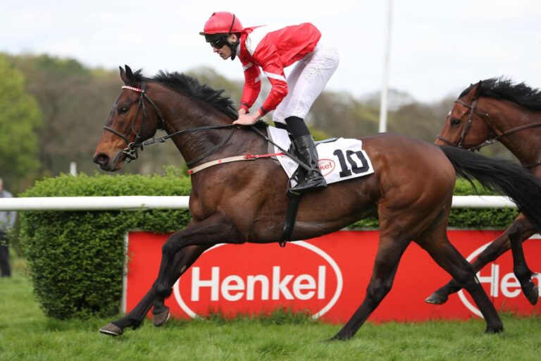 Anniemation ist der zweite Raja-Sieger