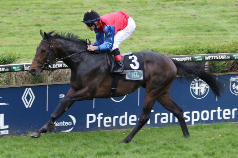 Gestüt Schlenderhans Any Moon ist der neue Derby-Favorit