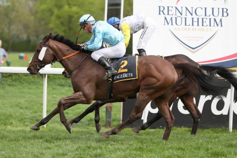 Brilliant Blue gewinnt knapp gegen Night Star