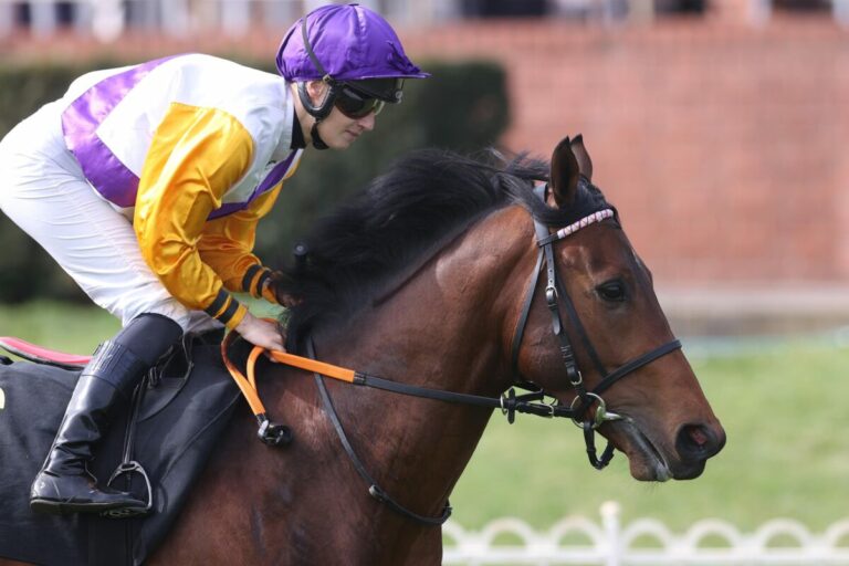14 weitere Streichungen für das Deutsche Derby – Noch 70 im Blauen Band