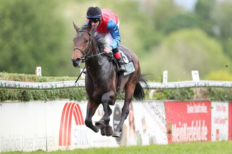Any Moon wie ein besseres Pferd – Klug Schützling überzeugt beim Debüt