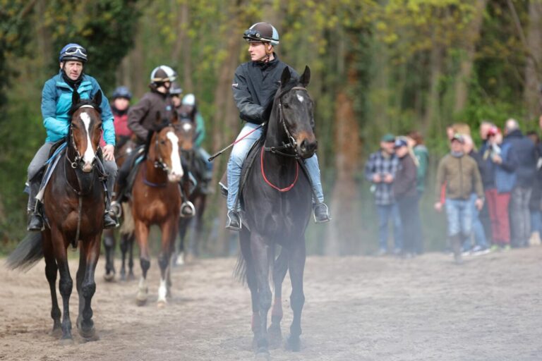 Tag der Rennställe 2024 – „Voller Erfolg auch in diesem Jahr“