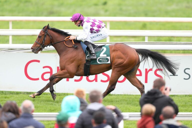 Tashbeeh wird Favoritenrolle gerecht