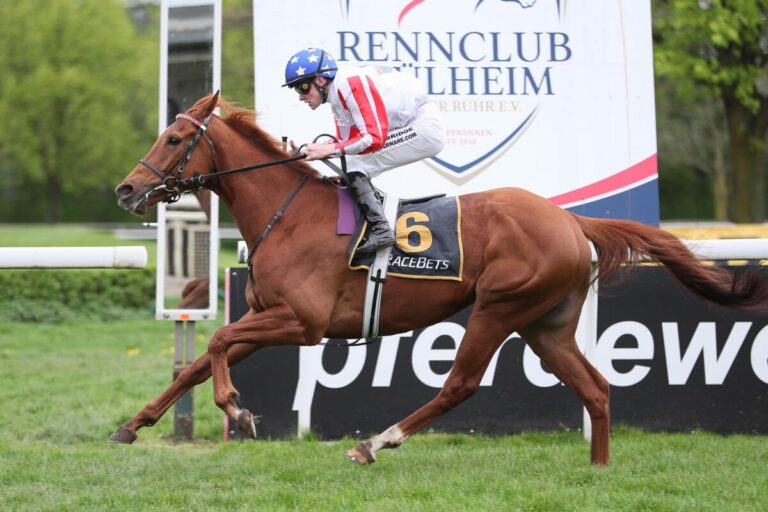 The Hype siegt unter Sean Byrne