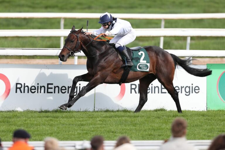 Überlegen im Ausgleich II – Was kann Vaisseau Fantome?