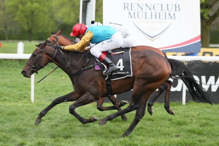 Weltbeste fängt Wilko genau im Ziel ab