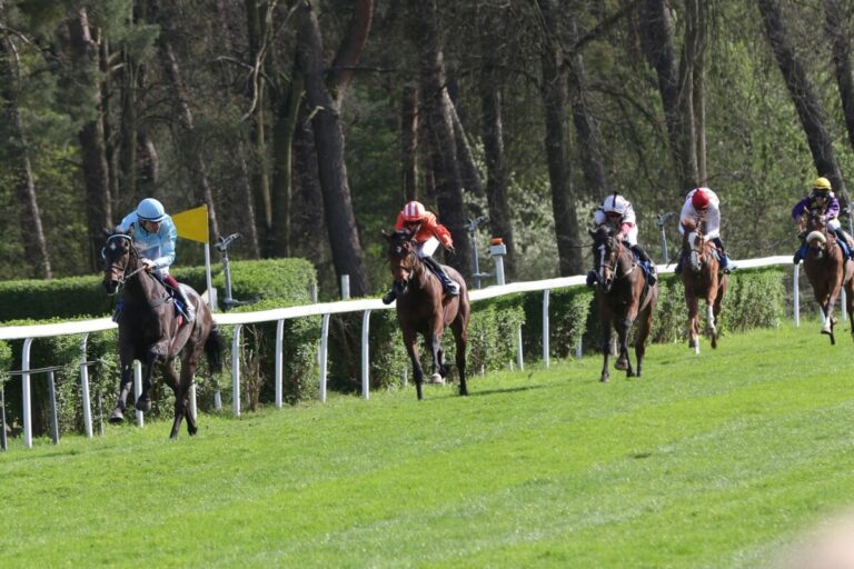 Vierjährige Easy Race ganz easy zum Debüttreffer