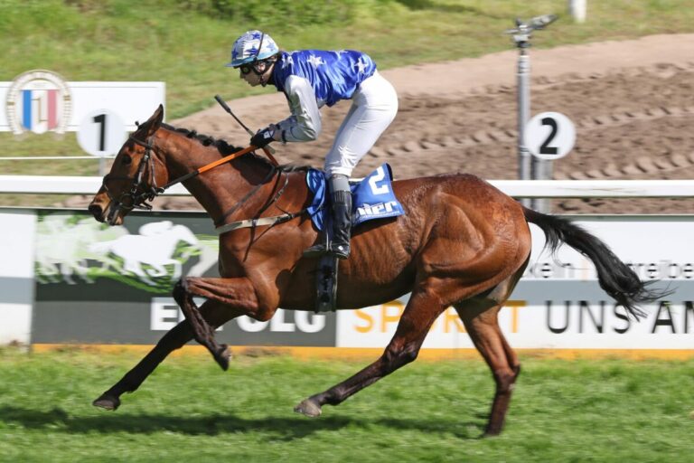 Rum Tum Tugger bringt in turbulentem Rennen Favoritengeld nach Hause