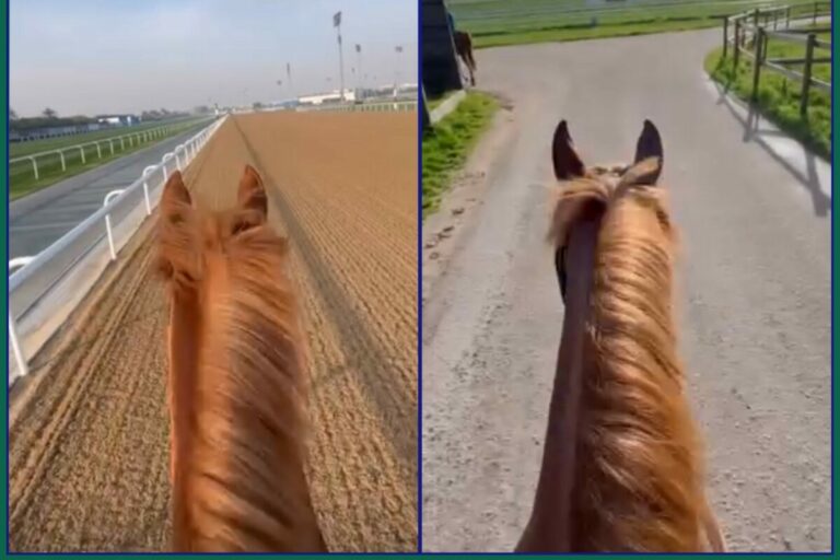 „Macht einen guten Eindruck“ – Sisfahan wieder zurück in Köln