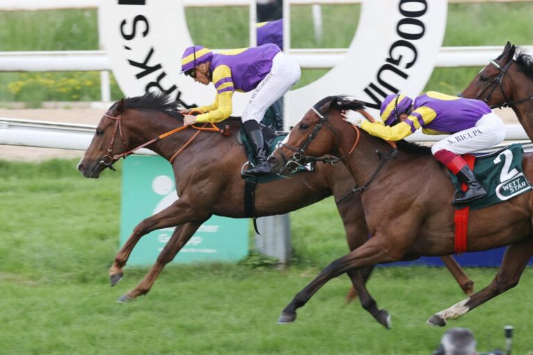 Das Dutch Master-Doppel: At Hitmi vor Let Em Have It