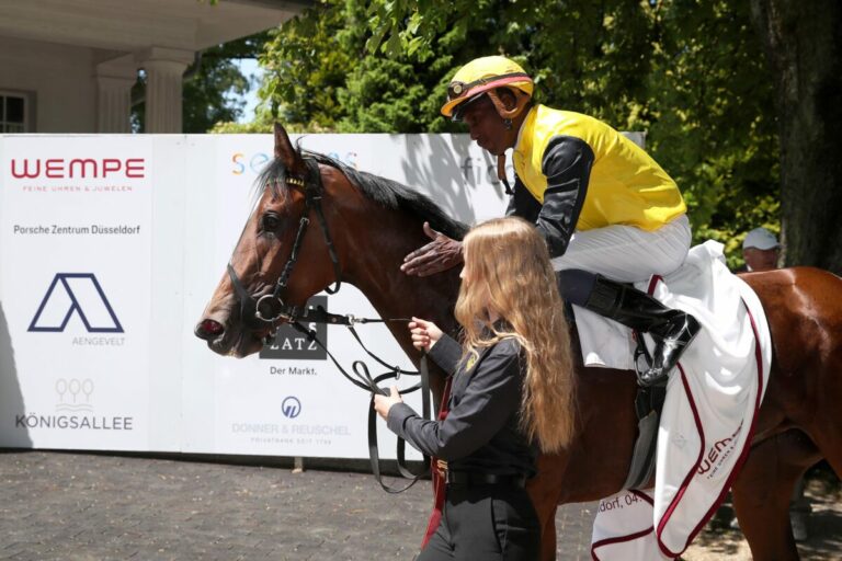 Am Sonntag wird die Nachfolgerin von Habana gesucht