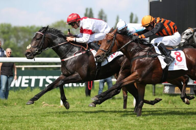 Anistou vorne bei Mülheimer Zweierwette im Ausgleich II