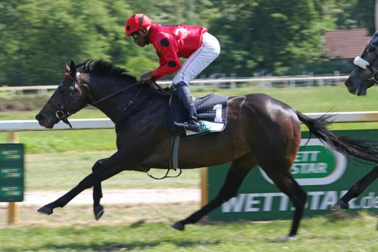 Bombastic beim dritten Start erstmals Sieger