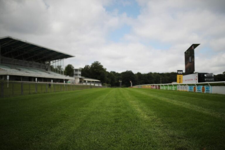Zwei weitere Nichtstarter für den Düsseldorfer Guineas-Tag