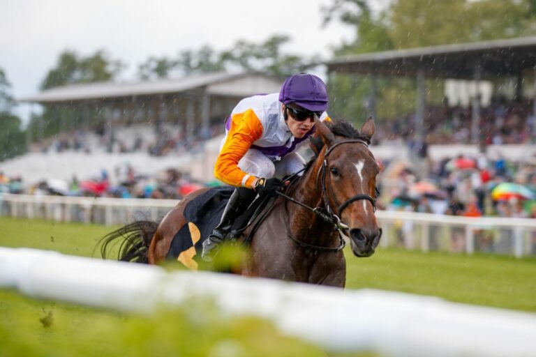 Egina raus: Noch sechs im Preis von Europa