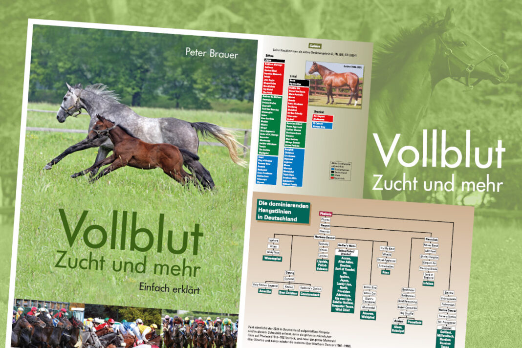 Das Ultimative Buch Der Witze Das Standardwerk Zum Ablachen galopponline.de