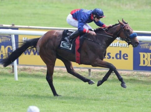 Glady Tiger siegt unter Leon Wolff