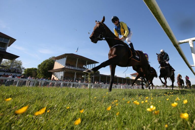 Die „guten Dinger“ – Trainerumfrage zur Grossen Woche in der Sport-Welt