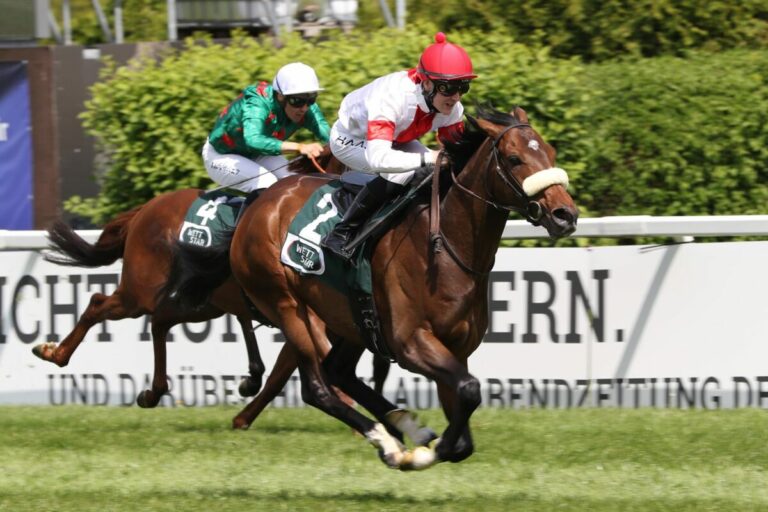 Ladoro siegt unter Michal Abik