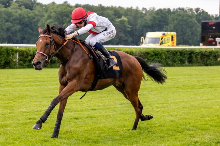 Lordano-Schwester Lilybet erste Siegerin am Irish Raceday