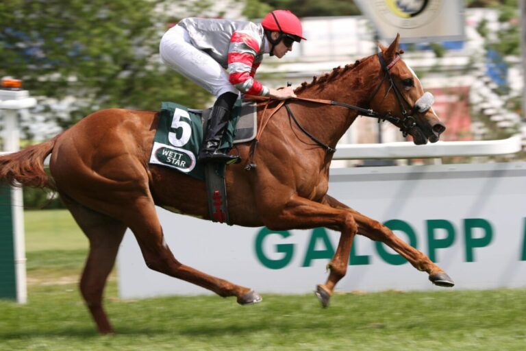 Mademoiselle Ninet überrascht die Favoriten