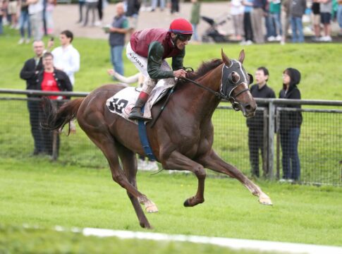 Monaigle siegt unter Andrasch Starke