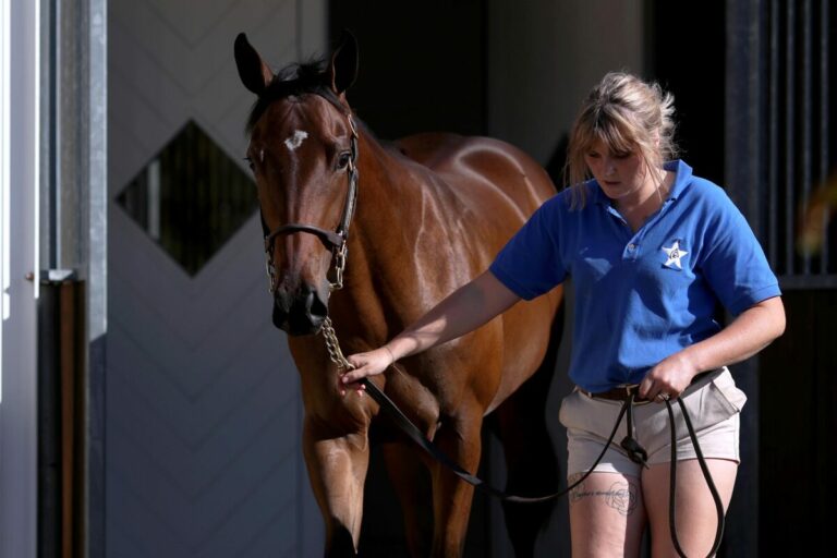 In Lyon: Steinbergs Noble Breath gewinnt beim Debüt