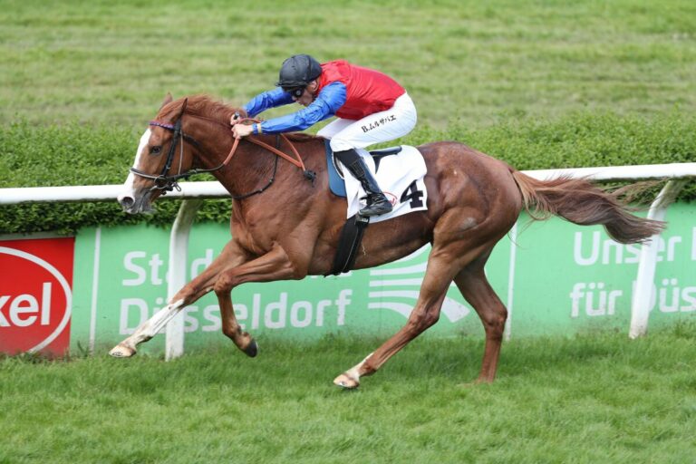 Start-Ziel nicht zu beeindrucken – Northern Monarch sofort rehabilitiert