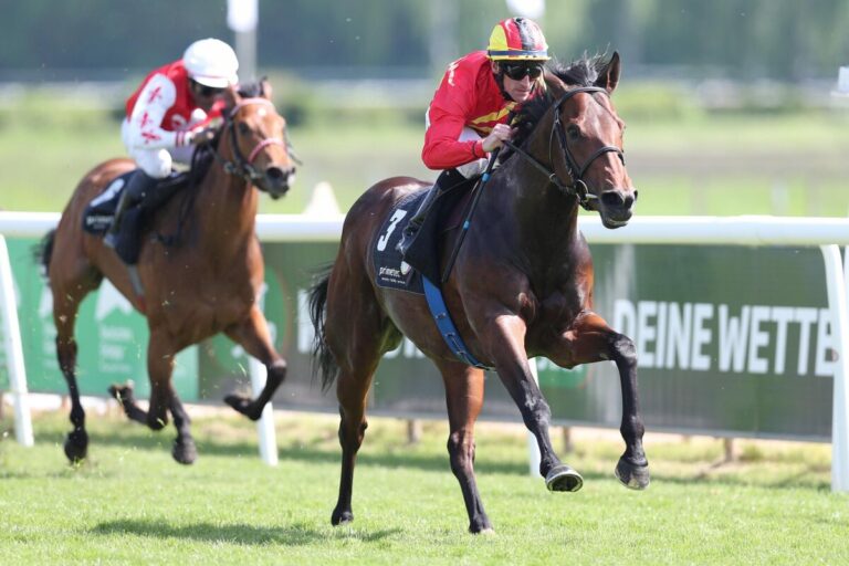Dreijähriger Pacharan locker für Klug und Starke im „Hochzeitsrennen“