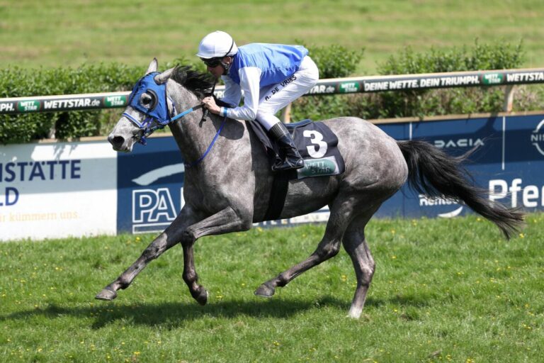 Papillion T erste Siegerin am Ladies‘ Day-Renntag