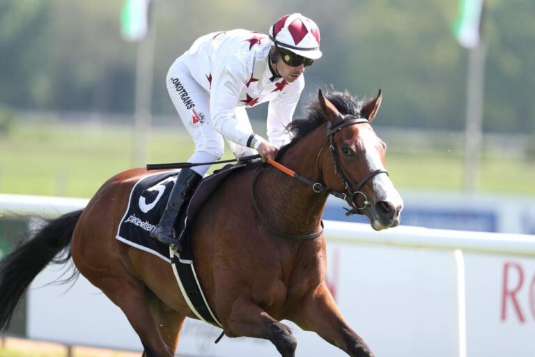 Riesen-Überraschung in Hannover: Prairie Mouse spielt Katz und Maus