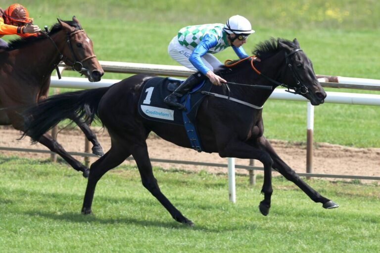 Princess Badee für Sprengel – Bastian Dietzes (18) erstes Pferd gleich Sieger