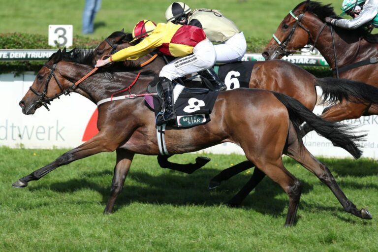 Sainte Marie im Ausgleich II mit Kampfgeist vorne