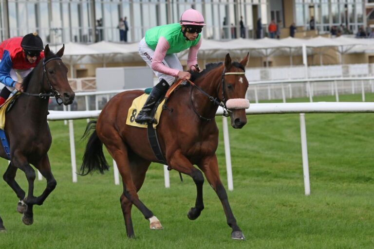 Dreijährige Saman Siebte im Premio Pietro Bessero