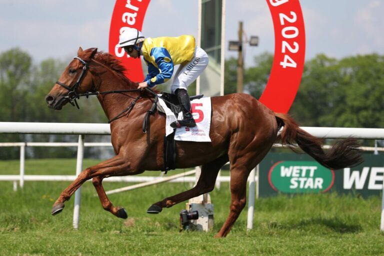 Vierter Sieg in Folge – Was kann Schael?