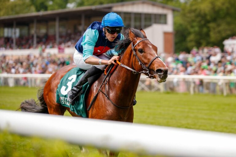 Self Solution nach guter Frankreich-Form jetzt Sieger